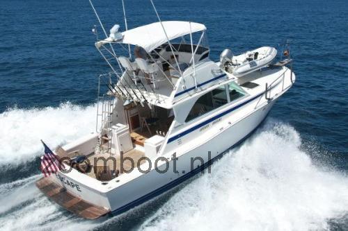Bertram 38 specificaties 